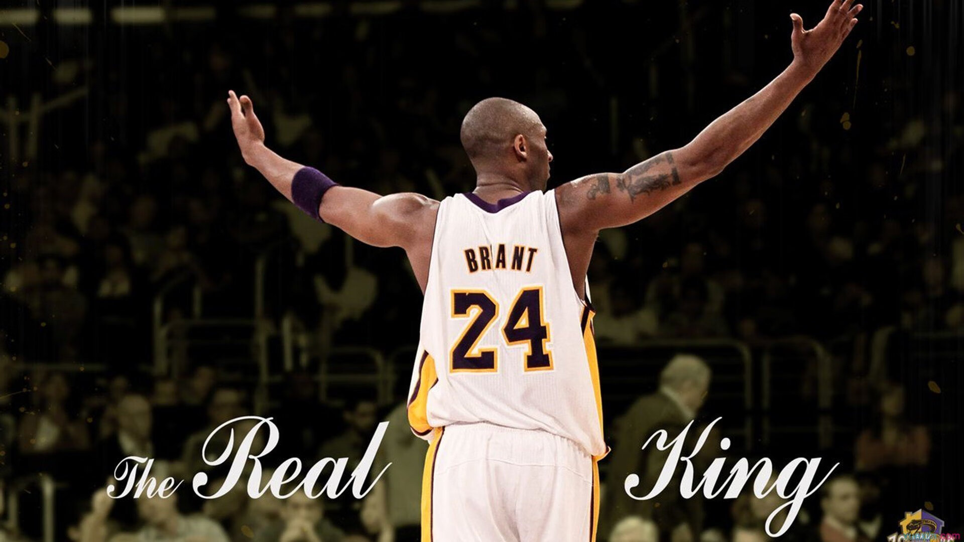 NBA球员社交行为对公众形象的影响机制研究,nba球星的社交平台